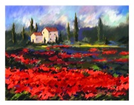 poppy fields